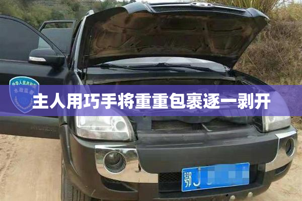 主人用巧手将重重包裹逐一剥开