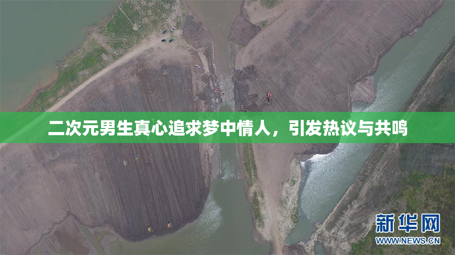二次元男生真心追求梦中情人，引发热议与共鸣