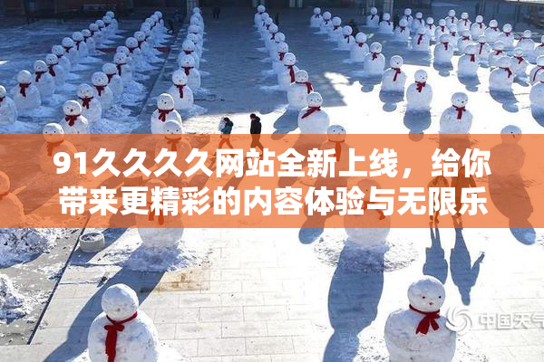 91久久久久网站全新上线，给你带来更精彩的内容体验与无限乐趣！