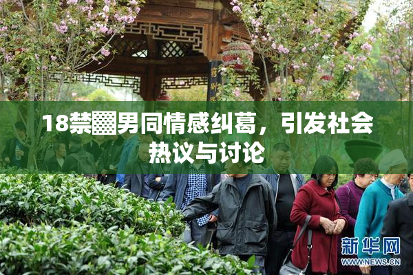 18禁▓男同情感纠葛，引发社会热议与讨论