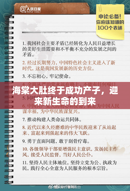 海棠大肚终于成功产子，迎来新生命的到来