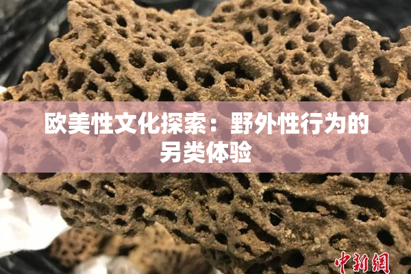 欧美性文化探索：野外性行为的另类体验