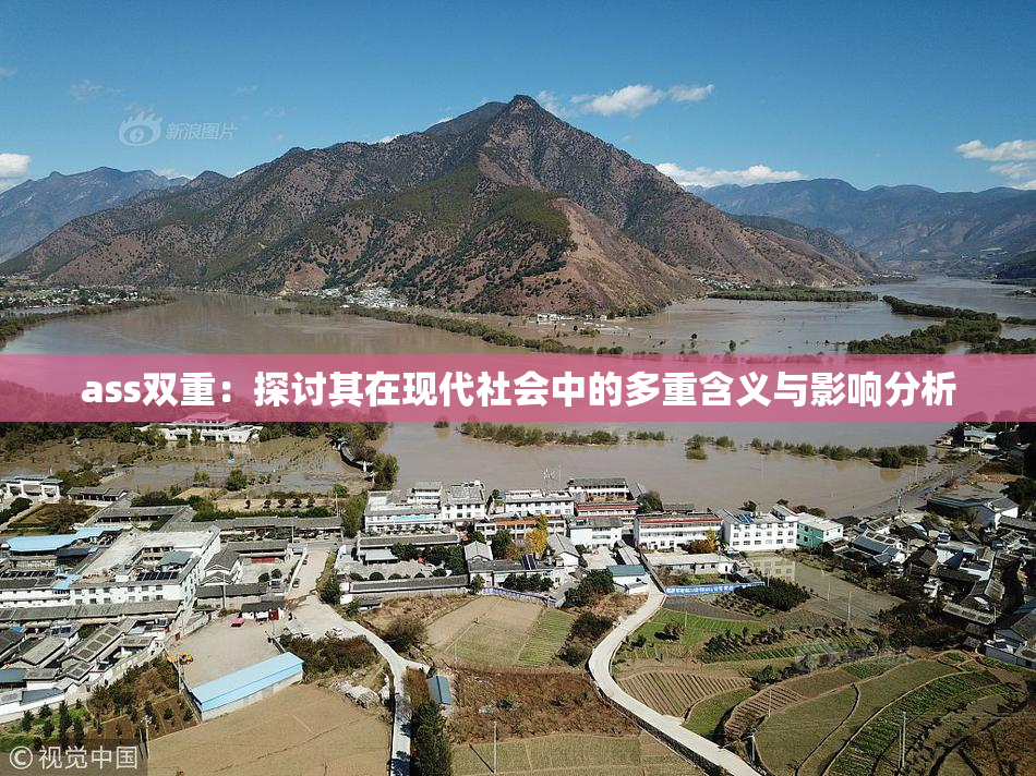 ass双重：探讨其在现代社会中的多重含义与影响分析