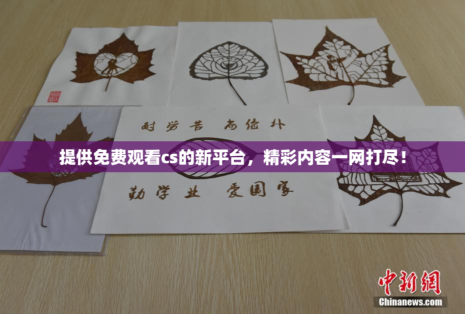 提供免费观看cs的新平台，精彩内容一网打尽！