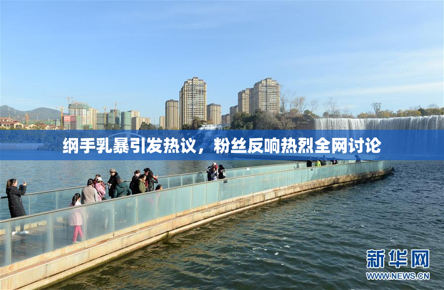 纲手乳暴引发热议，粉丝反响热烈全网讨论
