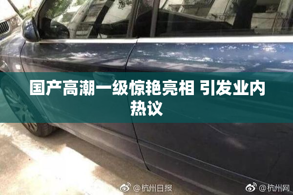 国产高潮一级惊艳亮相 引发业内热议