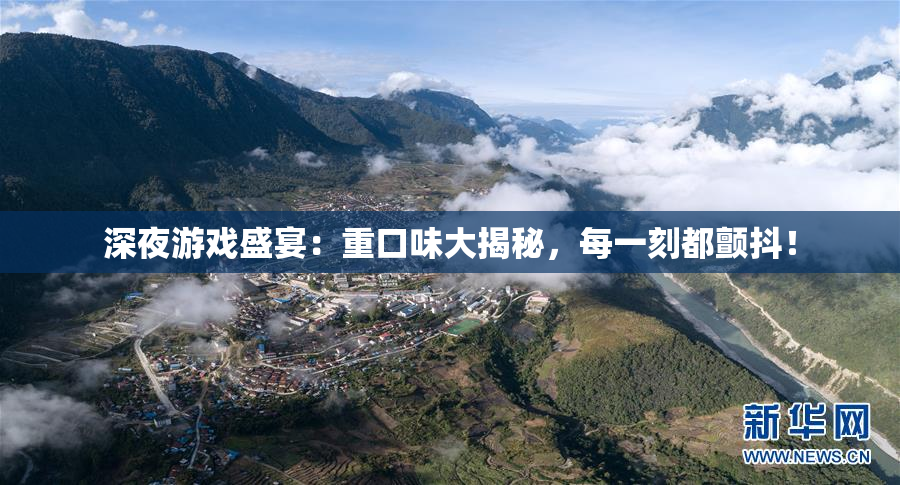 深夜游戏盛宴：重口味大揭秘，每一刻都颤抖！