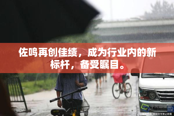 佐鸣再创佳绩，成为行业内的新标杆，备受瞩目。