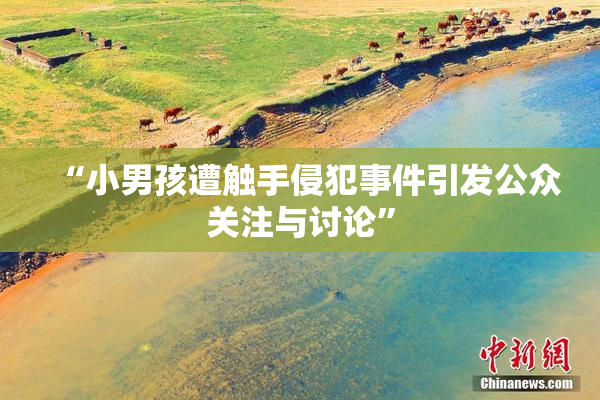 “小男孩遭触手侵犯事件引发公众关注与讨论”