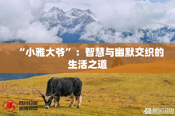 “小雅大爷”：智慧与幽默交织的生活之道