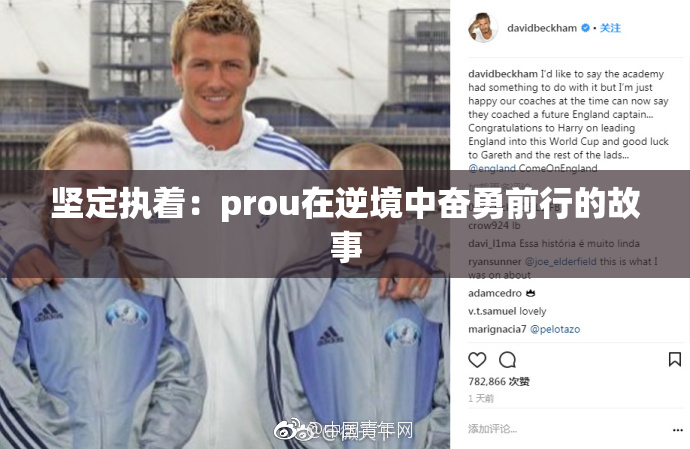 坚定执着：prou在逆境中奋勇前行的故事