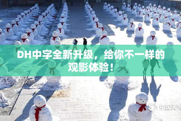DH中字全新升级，给你不一样的观影体验！