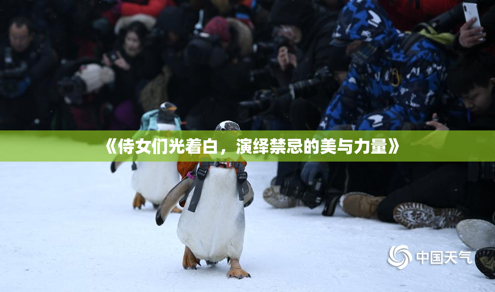 《侍女们光着白，演绎禁忌的美与力量》