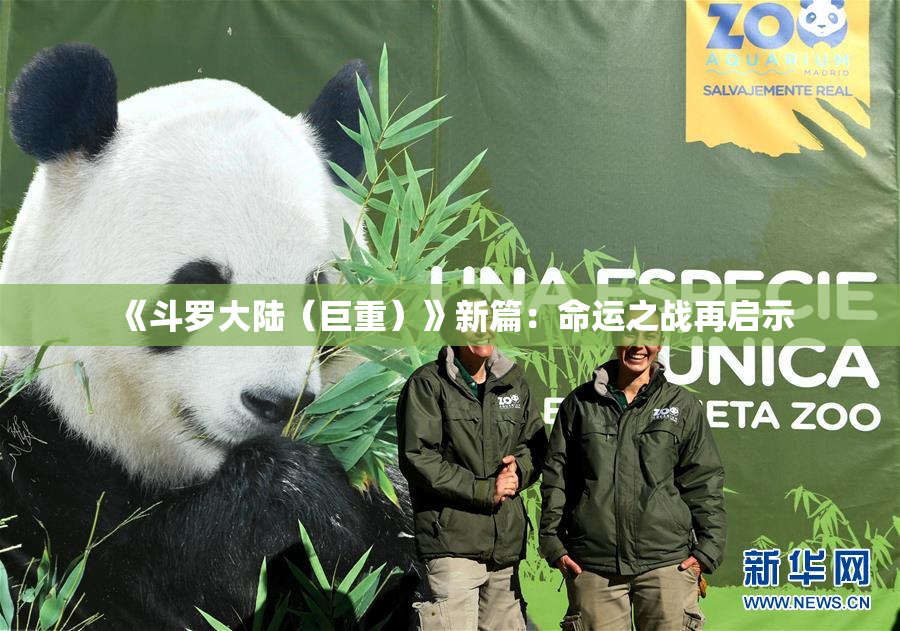 《斗罗大陆（巨重）》新篇：命运之战再启示
