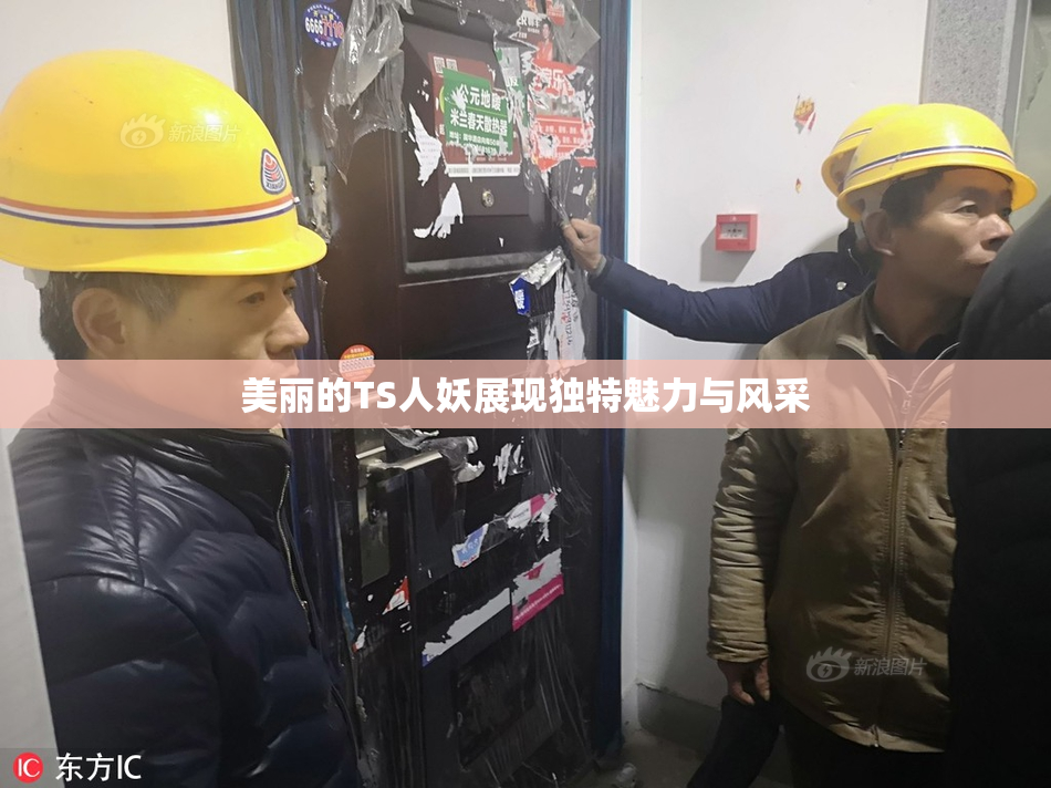 美丽的TS人妖展现独特魅力与风采