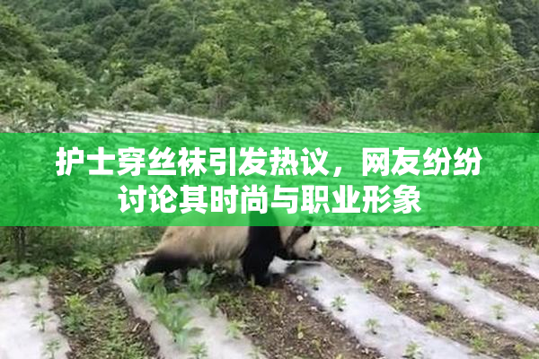 护士穿丝袜引发热议，网友纷纷讨论其时尚与职业形象