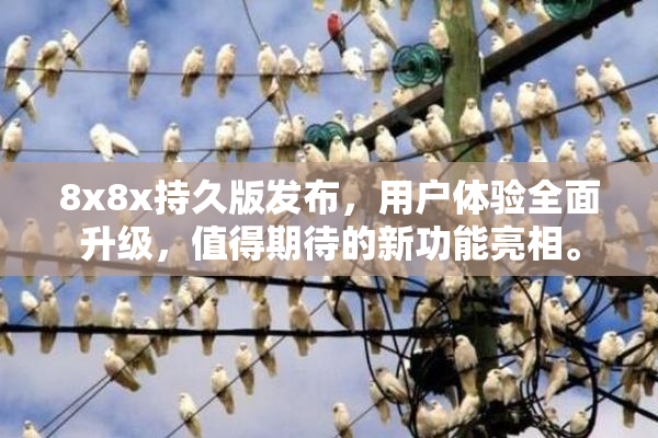 8x8x持久版发布，用户体验全面升级，值得期待的新功能亮相。