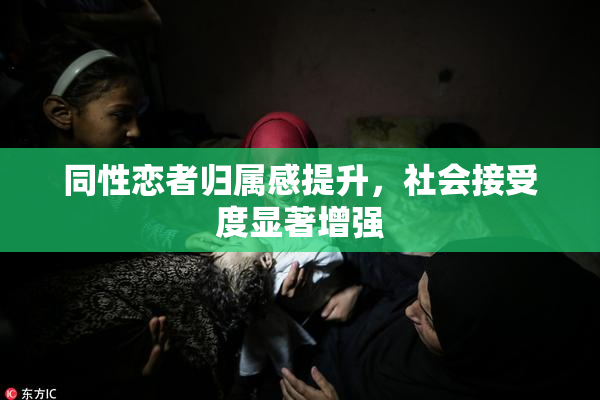 同性恋者归属感提升，社会接受度显著增强