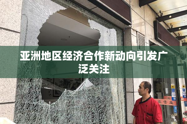 亚洲地区经济合作新动向引发广泛关注