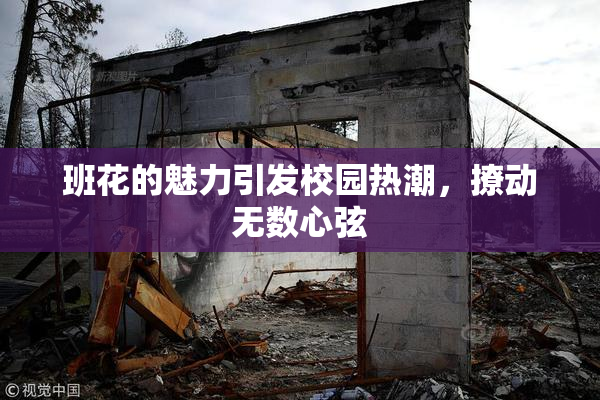 班花的魅力引发校园热潮，撩动无数心弦
