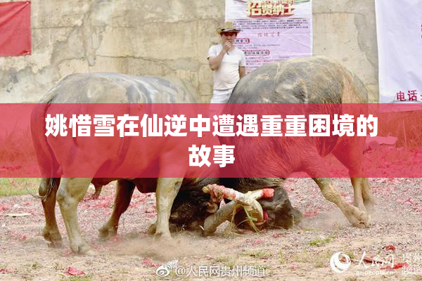 姚惜雪在仙逆中遭遇重重困境的故事