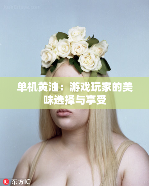 单机黄油：游戏玩家的美味选择与享受