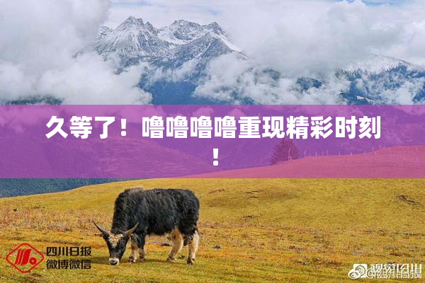 久等了！噜噜噜噜重现精彩时刻！