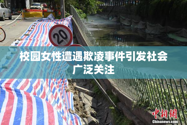 校园女性遭遇欺凌事件引发社会广泛关注