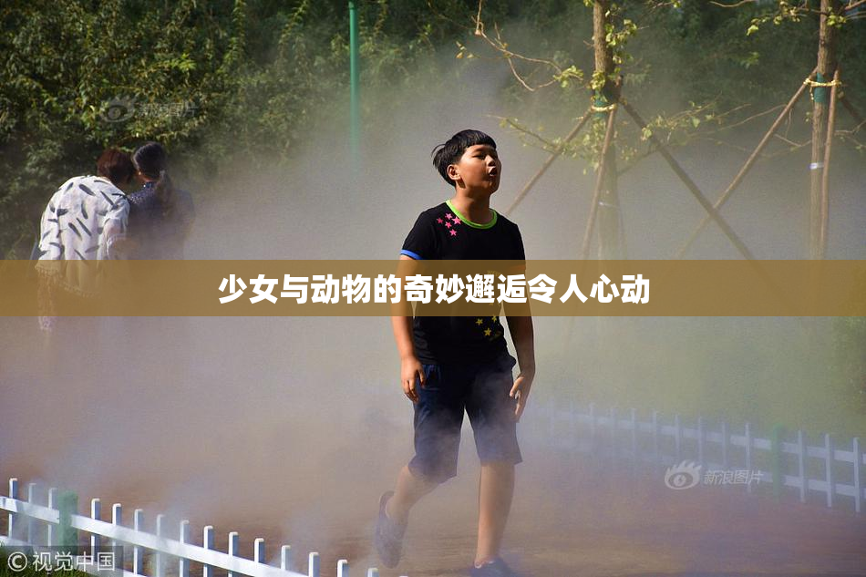 少女与动物的奇妙邂逅令人心动