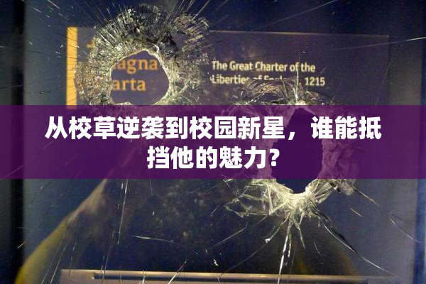 从校草逆袭到校园新星，谁能抵挡他的魅力？