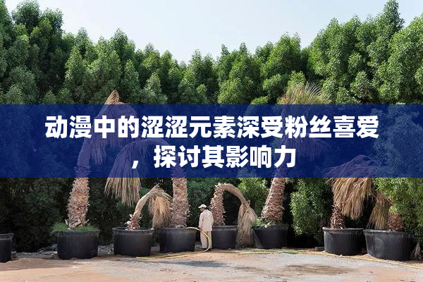 动漫中的涩涩元素深受粉丝喜爱，探讨其影响力