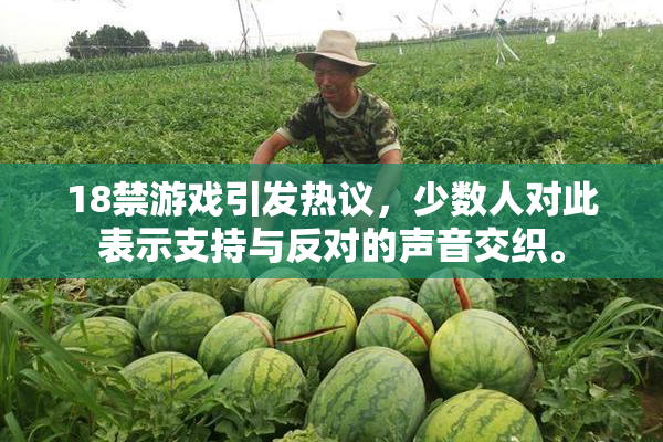 18禁游戏引发热议，少数人对此表示支持与反对的声音交织。