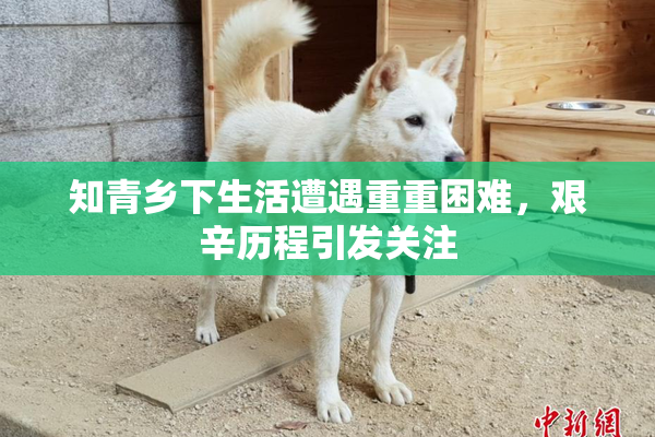 知青乡下生活遭遇重重困难，艰辛历程引发关注