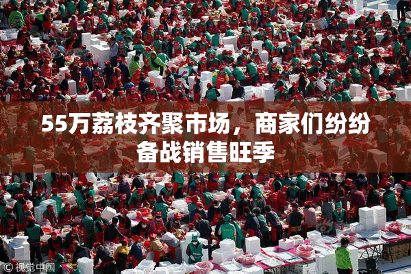 55万荔枝齐聚市场，商家们纷纷备战销售旺季