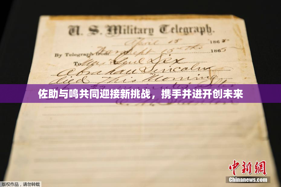 佐助与鸣共同迎接新挑战，携手并进开创未来
