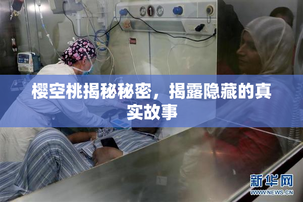 樱空桃揭秘秘密，揭露隐藏的真实故事