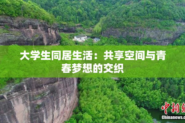 大学生同居生活：共享空间与青春梦想的交织