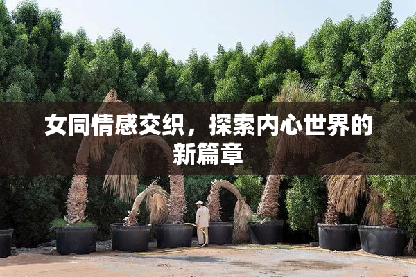 女同情感交织，探索内心世界的新篇章
