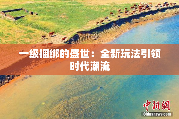 一级捆绑的盛世：全新玩法引领时代潮流
