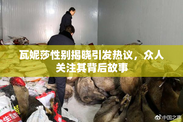 瓦妮莎性别揭晓引发热议，众人关注其背后故事