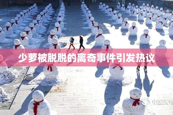 少萝被脱脱的离奇事件引发热议