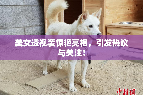 美女透视装惊艳亮相，引发热议与关注！
