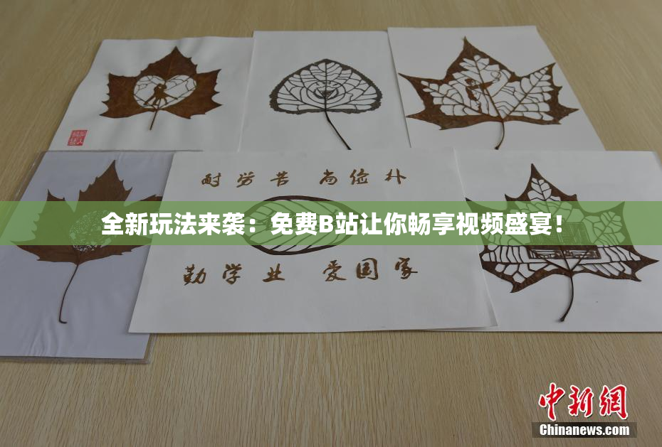 全新玩法来袭：免费B站让你畅享视频盛宴！
