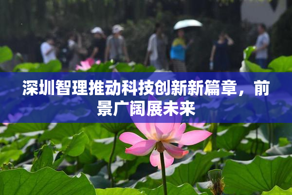 深圳智理推动科技创新新篇章，前景广阔展未来