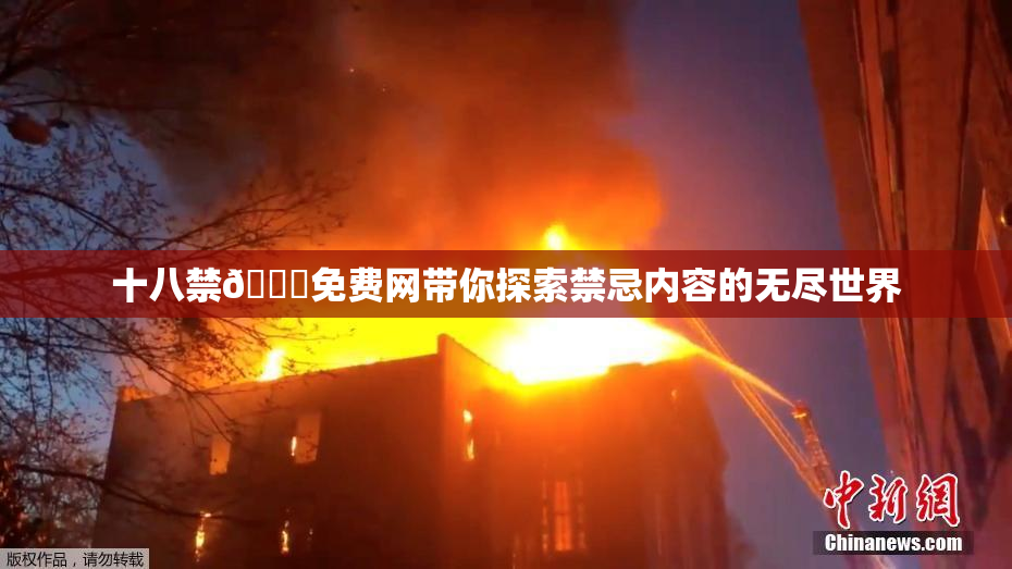 十八禁🔞免费网带你探索禁忌内容的无尽世界