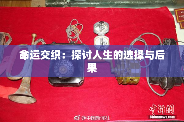 命运交织：探讨人生的选择与后果
