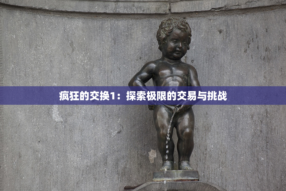 疯狂的交换1：探索极限的交易与挑战