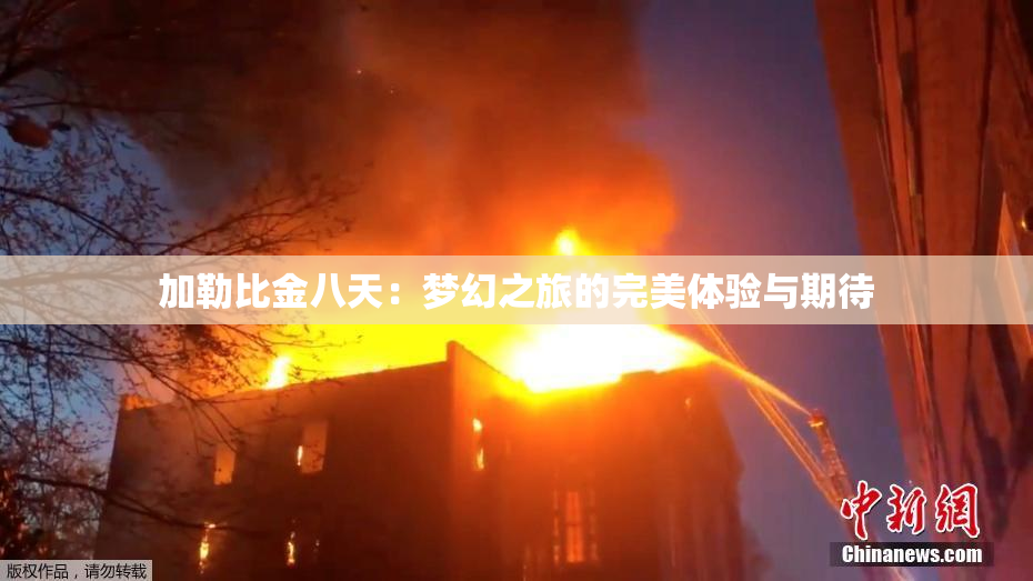 加勒比金八天：梦幻之旅的完美体验与期待