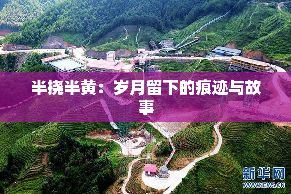 半挠半黄：岁月留下的痕迹与故事