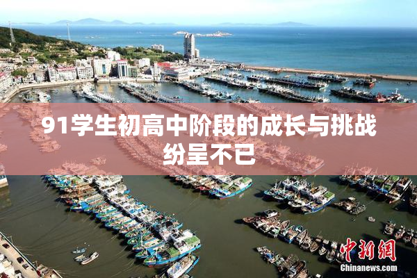 91学生初高中阶段的成长与挑战纷呈不已